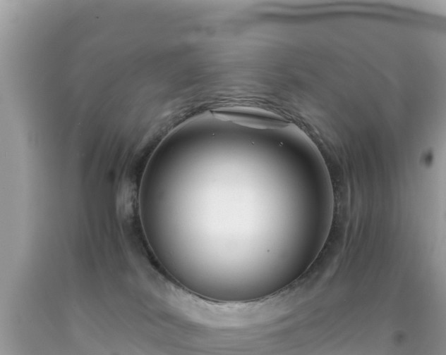 X0000092020038200709131607