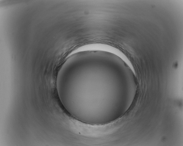 X0000092020039200709131607