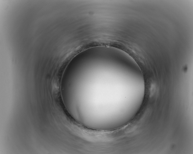 X0000092020040200709131607