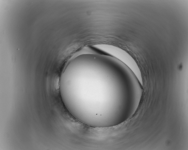 X0000092020041200709131607