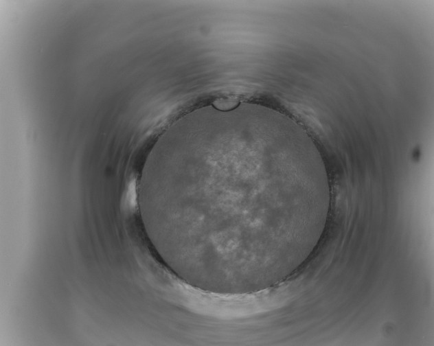 X0000092020042200709131607