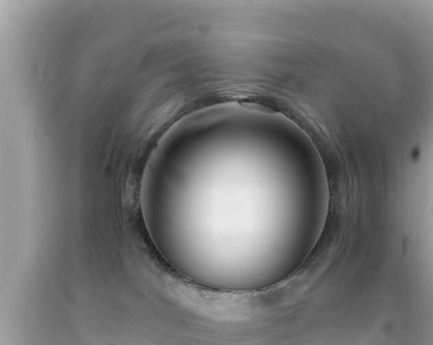 X0000092020044200709131607