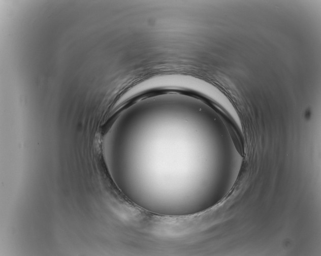 X0000092020045200709131607