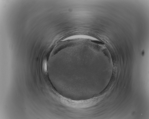 X0000092020046200709131607