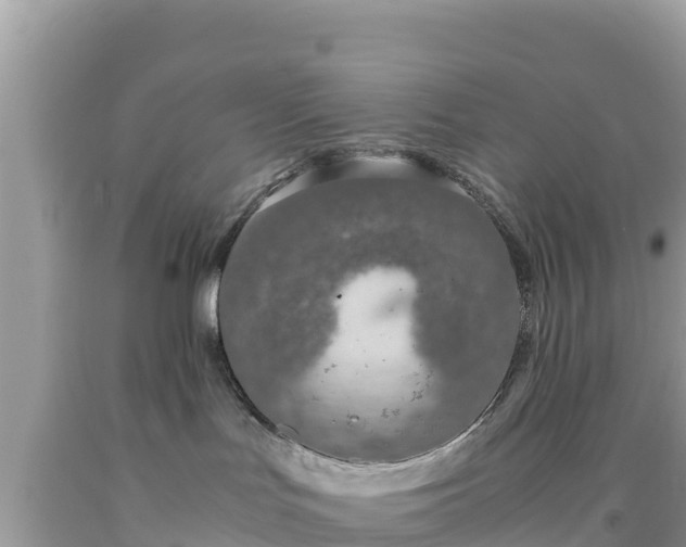 X0000092020047200709131607