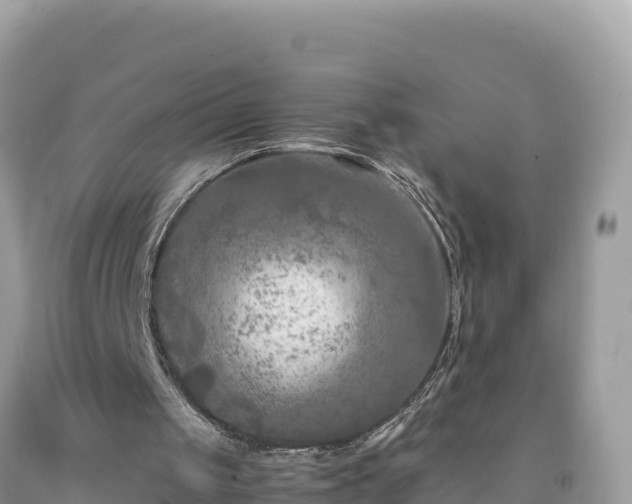 X0000092020049200709131606