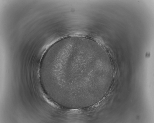 X0000092020050200709131606