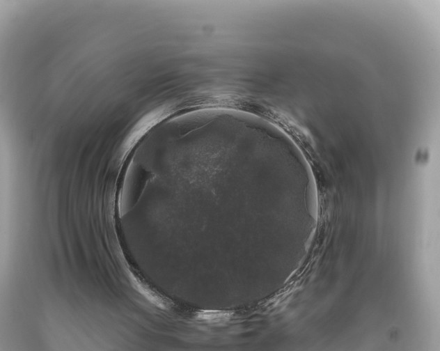 X0000092020051200709131606