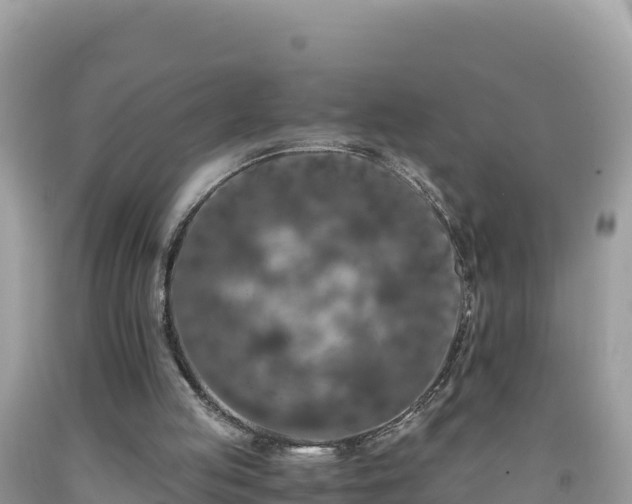 X0000092020053200709131606