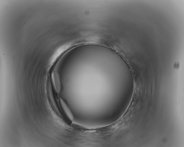 X0000092020054200709131606