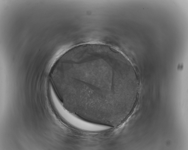 X0000092020055200709131606