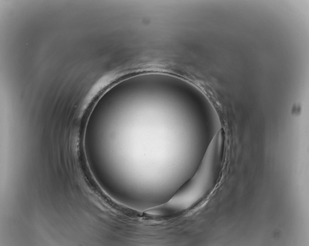 X0000092020056200709131606