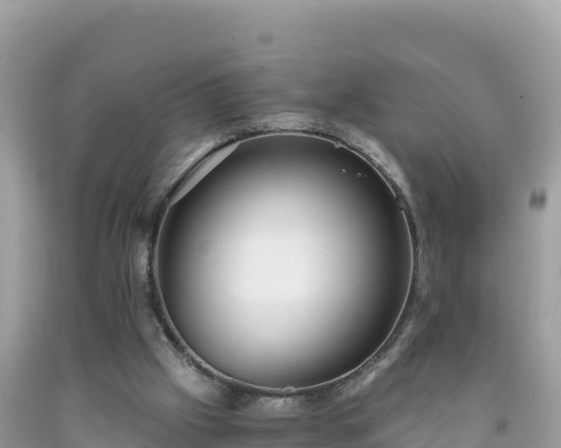 X0000092020057200709131606