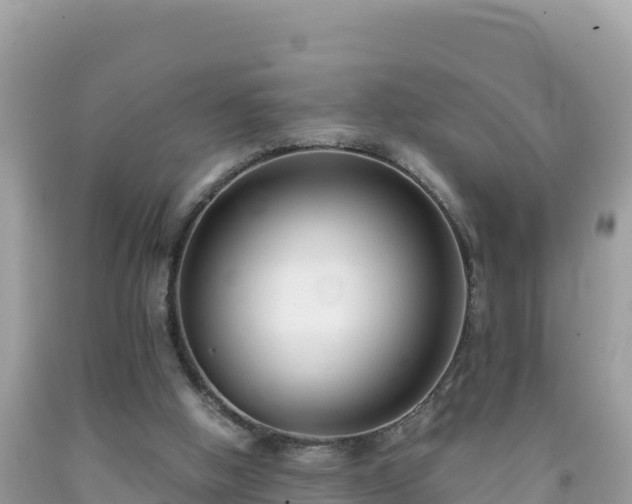 X0000092020058200709131606