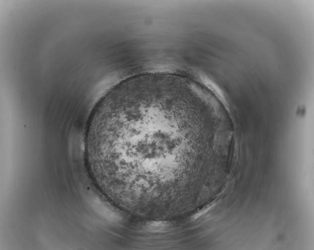 X0000092020059200709131606