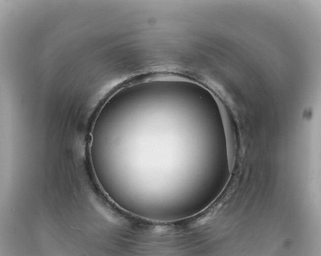 X0000092020060200709131606