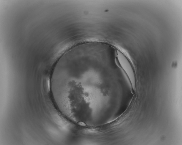 X0000092020061200709131606