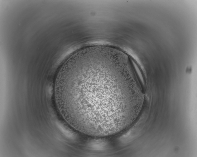 X0000092020063200709131606