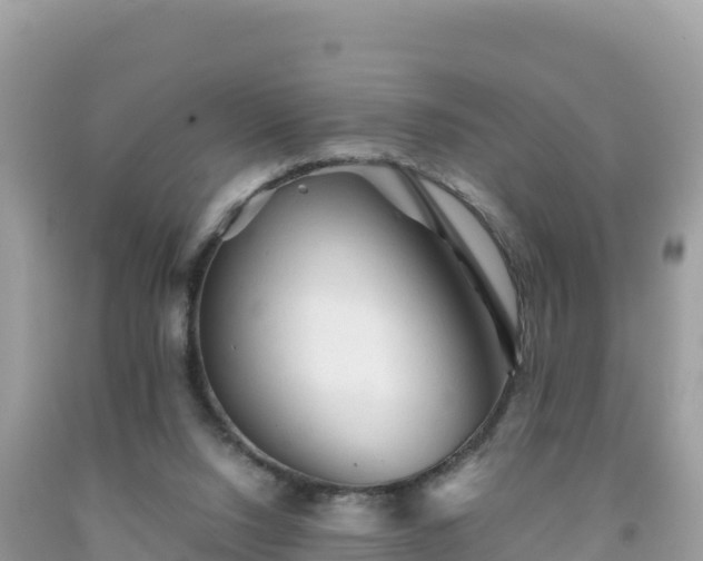 X0000092020064200709131606