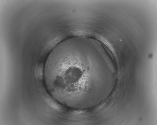 X0000092020065200709131606