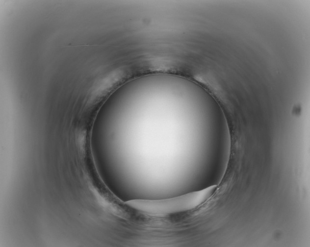 X0000092020066200709131606