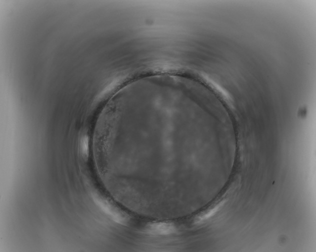 X0000092020067200709131606