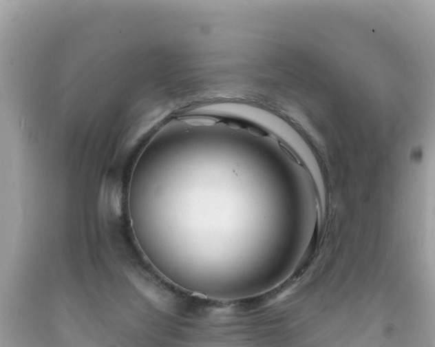 X0000092020068200709131606