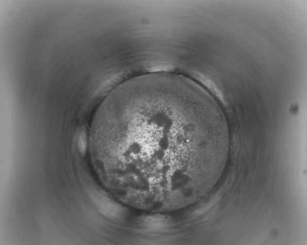 X0000092020069200709131606