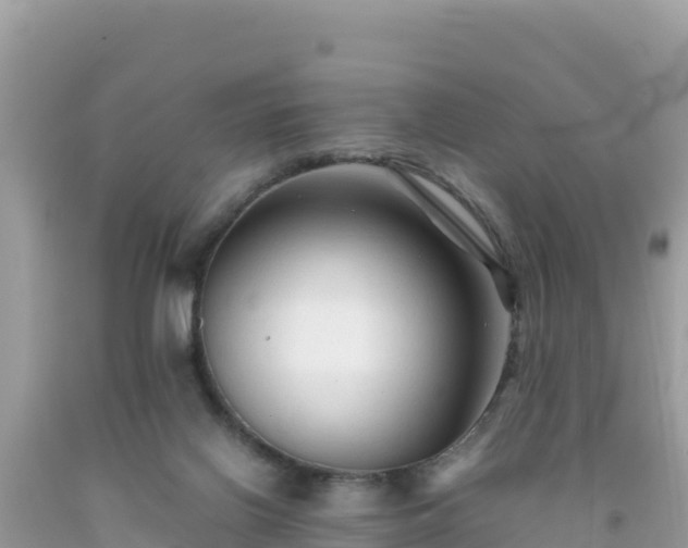 X0000092020070200709131606