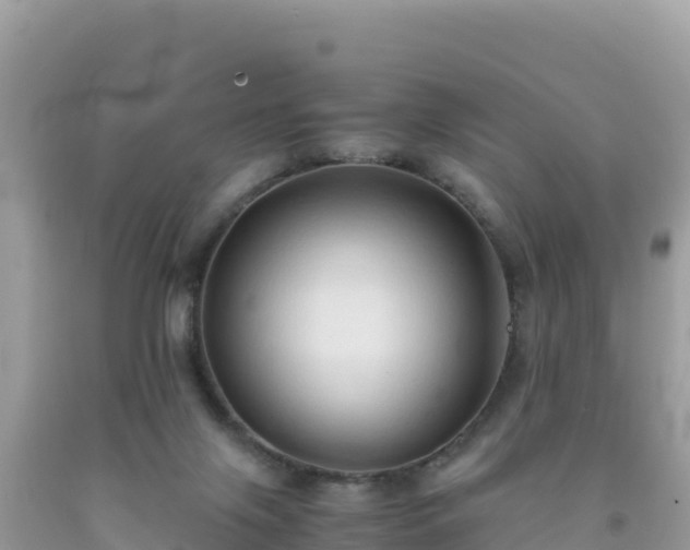 X0000092020071200709131607