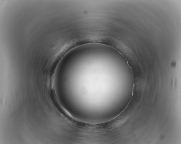 X0000092020072200709131607