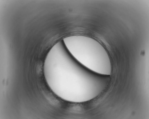 X0000092020073200709131607