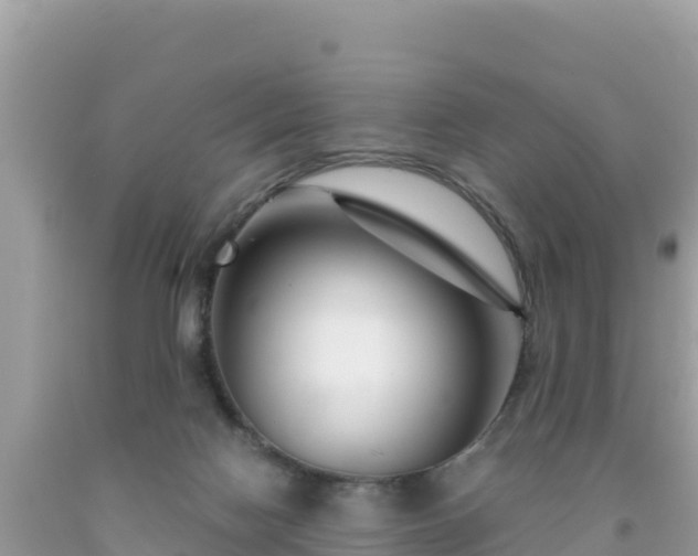 X0000092020074200709131607