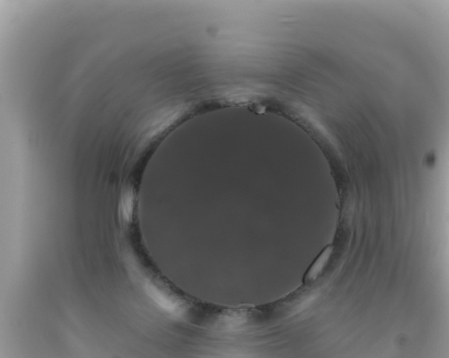 X0000092020076200709131607