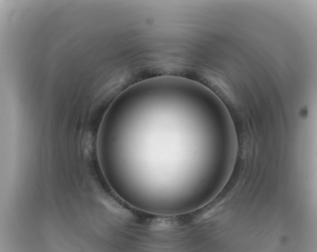 X0000092020077200709131607