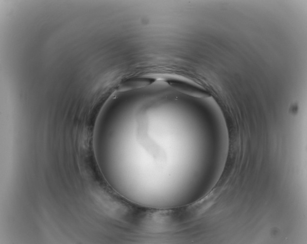 X0000092020078200709131607