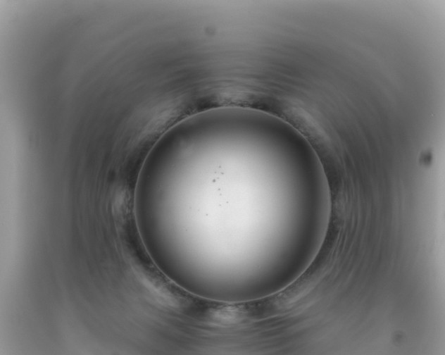 X0000092020079200709131607