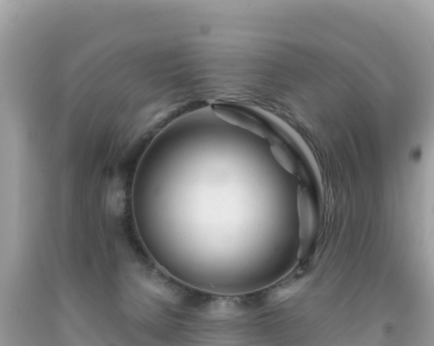 X0000092020080200709131607