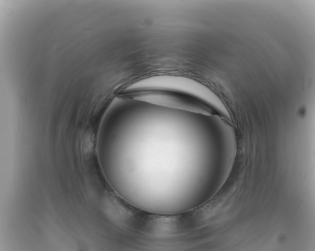 X0000092020081200709131607