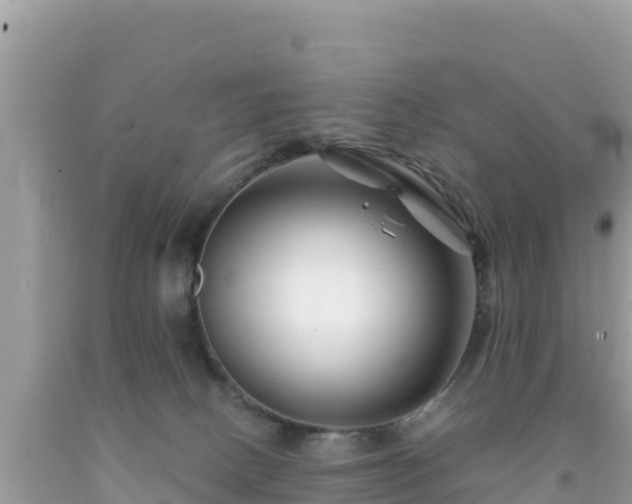 X0000092020082200709131607