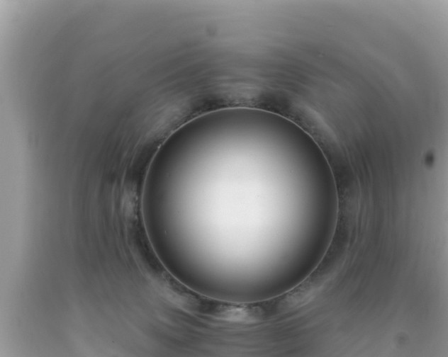 X0000092020083200709131607