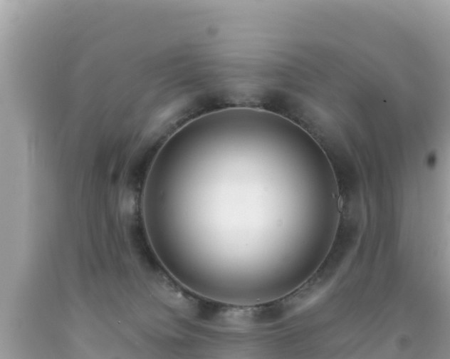 X0000092020084200709131607