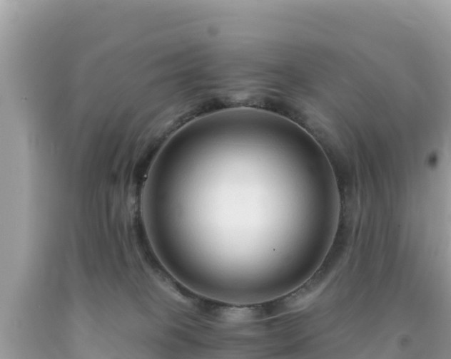 X0000092020085200709131607