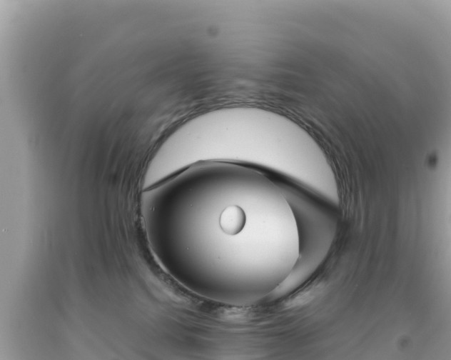 X0000092020088200709131607