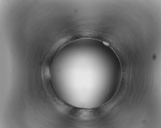 X0000092020089200709131607