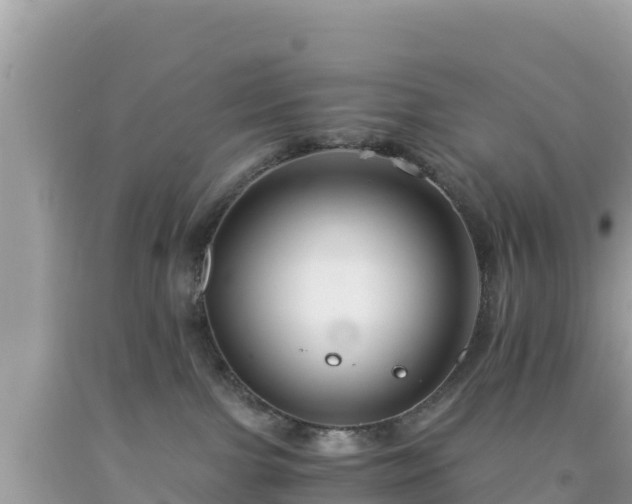 X0000092020091200709131607