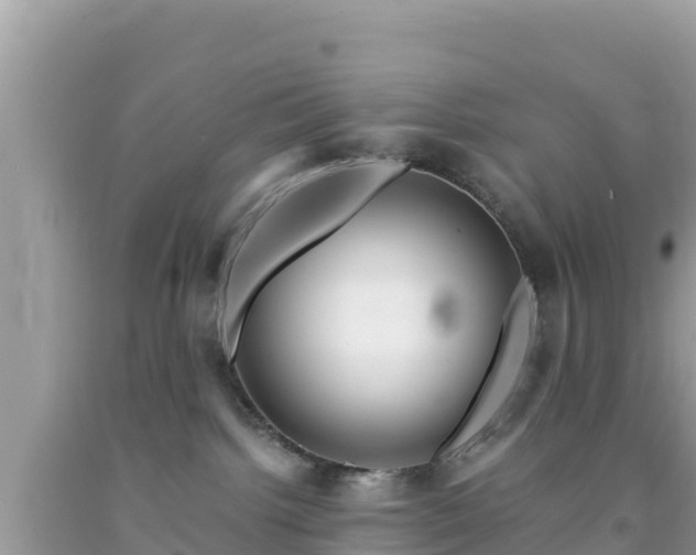 X0000092020092200709131607