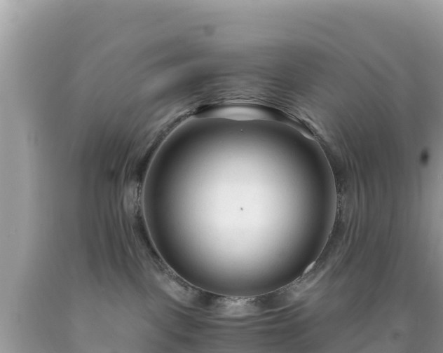 X0000092020093200709131607