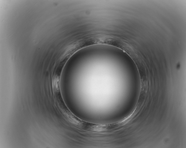 X0000092020094200709131607