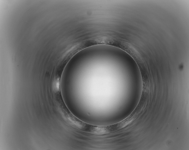 X0000092020095200709131607